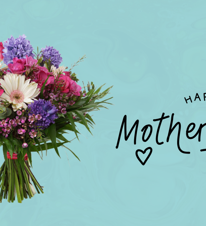 Mother’s Day Deals