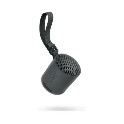 Sony SRS-XB100 Wireless Bluetooth Portable Lightweight CompactDurable IP67 Waterproof & Dustproof 16 HR BatteryBlack