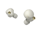 SONY Noise Canceling Wireless Earbud Headphones