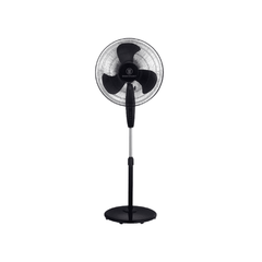 Collection image for: Fans