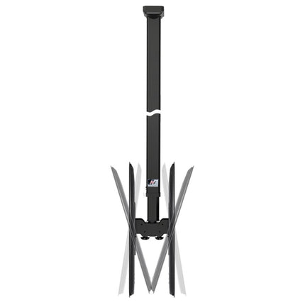 NB TV Ceiling Mount T5520