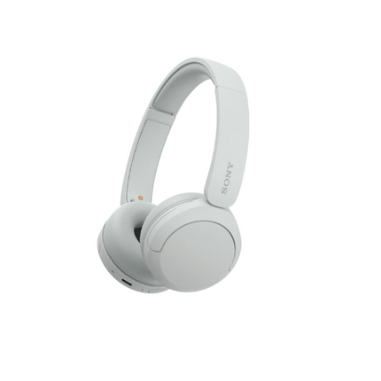 SONY Wireless Headphone CH520WZ