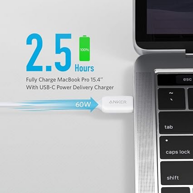 Anker PowerLine III USB-C to USB-C 2.0 Cable White