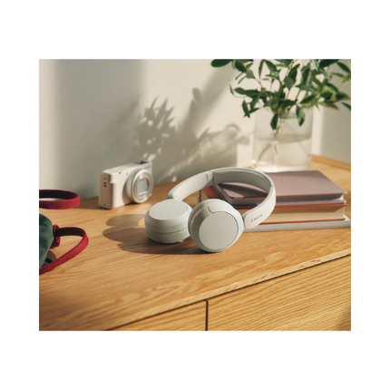 SONY Wireless Headphone CH520WZ