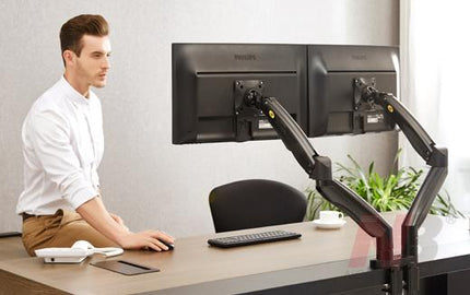 NB Dual Desk Mount F195a