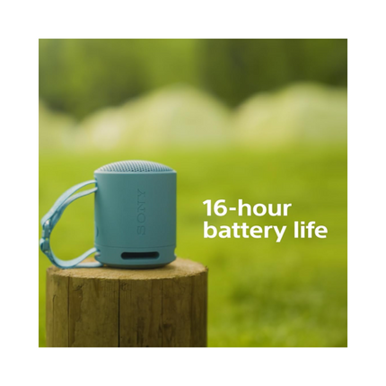Sony SRS-XB100 Wireless Bluetooth Portable Lightweight CompactDurable IP67 Waterproof & Dustproof 16 HR BatteryBlack