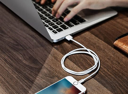 Ugreen Lightning To Usb Cable(Abs Case) White 1M