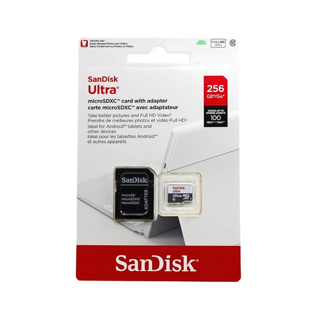 Sandisk 256 GB_1