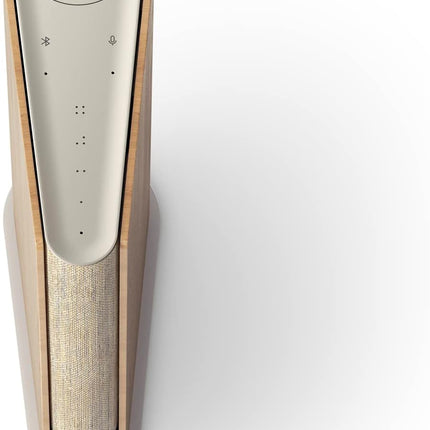 Bang & Olufsen Compact Book-Size Wifi Speaker
