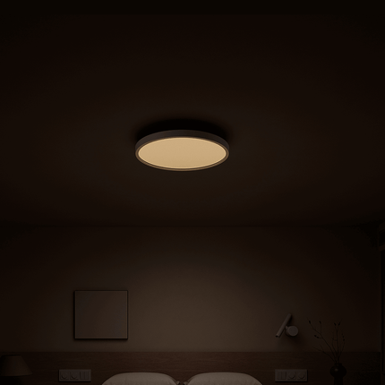 Mi-LED-CL_3