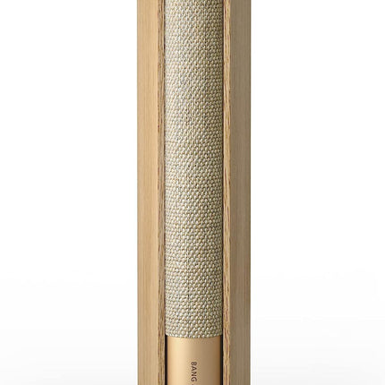 Bang & Olufsen Compact Book-Size Wifi Speaker