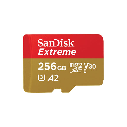 Sandisk 256 GB_4