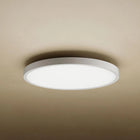 Mi-LED-CL_1