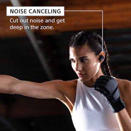 Sony Wireless Sports In-Ear Headphone With Mic