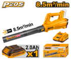 CABLI203235_1