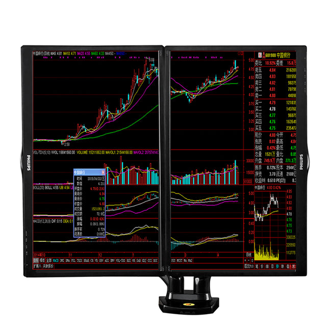 NB Dual Desk Mount F160