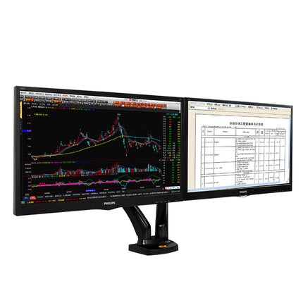 NB Dual Desk Mount F160