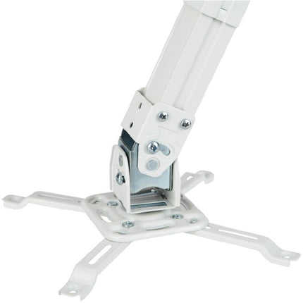 NB Projector Mount NBT817
