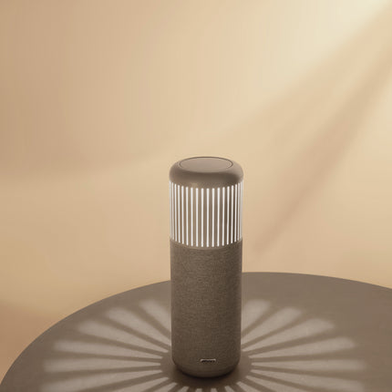 HiFuture Wedge Portable Wireless Speaker with Reading Light