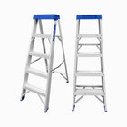 WADFOW: SINGLE SIDE LADDER