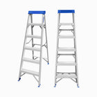 WADFOW: SINGLE SIDE LADDER