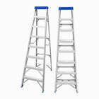 WADFOW: SINGLE SIDE LADDER
