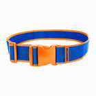 WADFOW: TOOL BELT