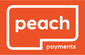 <p>Guaranteed <b>secure & safe</b> checkout.</p>