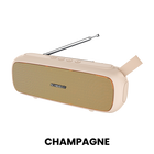 P8000SCHAM_1