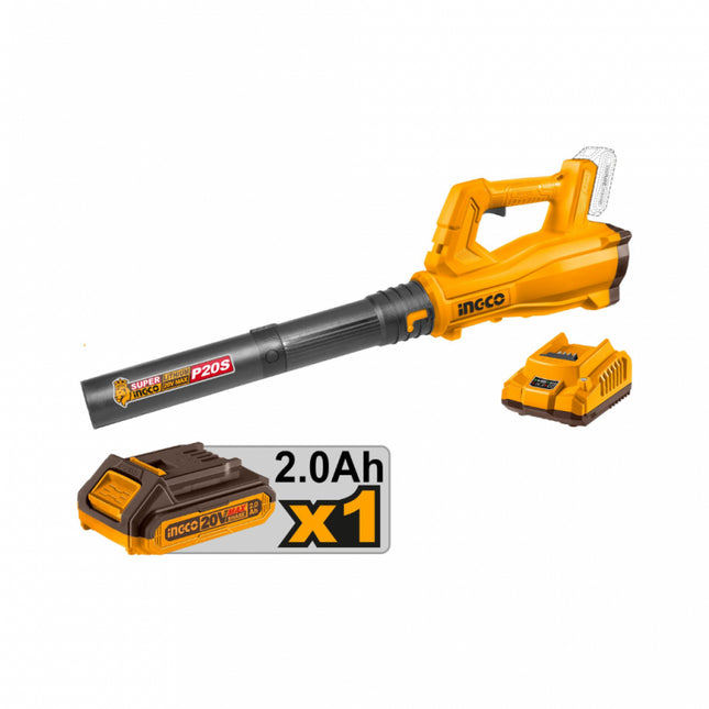 CABLI203235_2