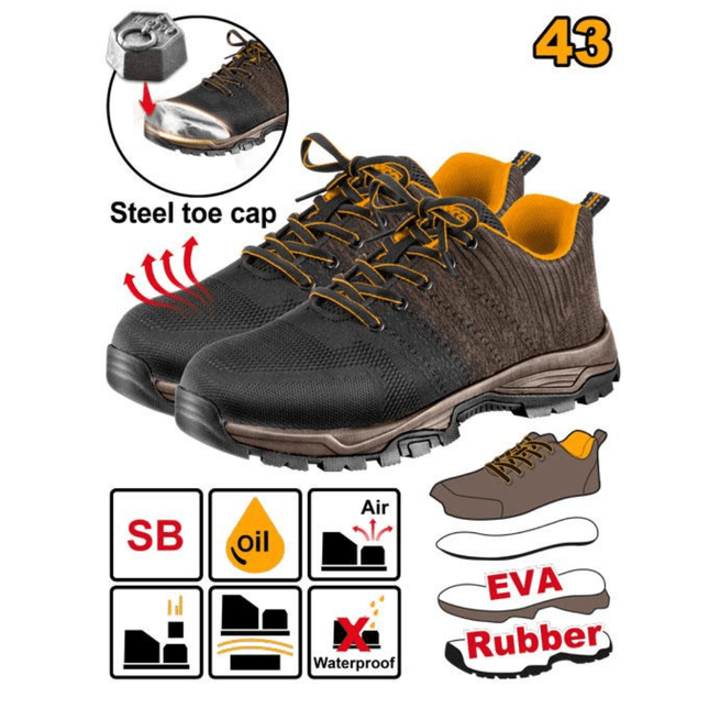 SSH82SB.43_1