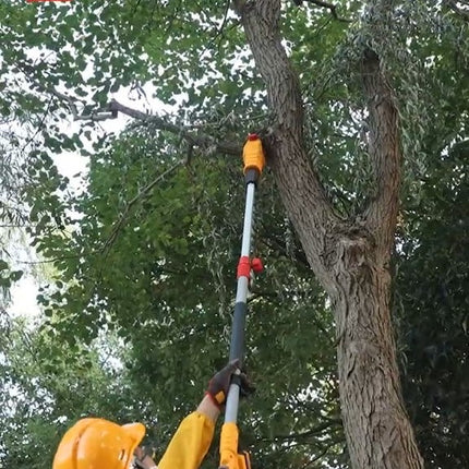 PSLI2028_5